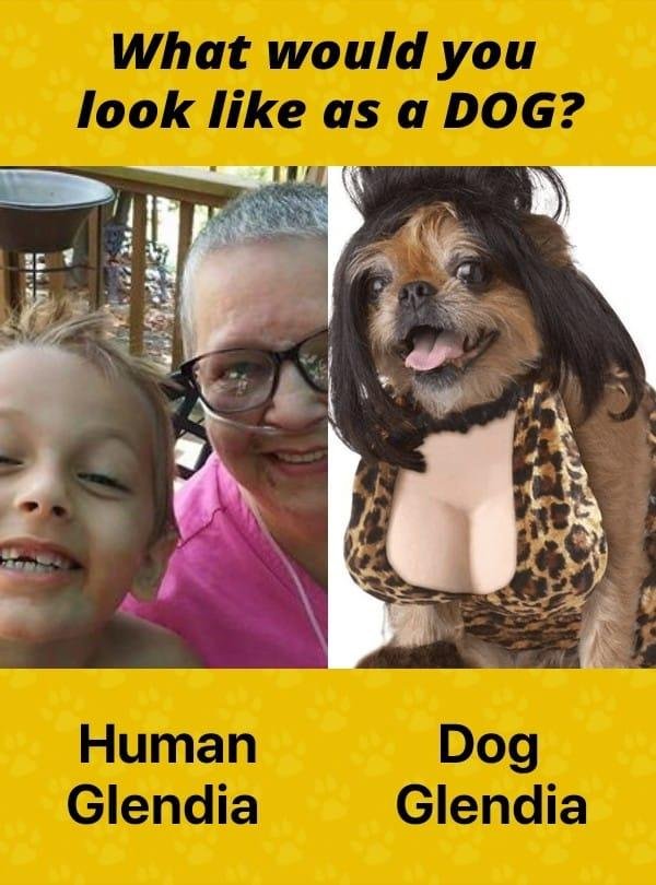 Ha Ha
