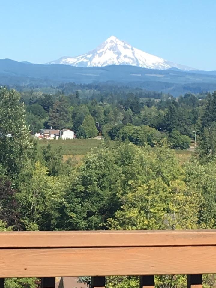 This is the view from the deck of the house my wife has for sale in troutdale!! WOW you can "own" this !!!