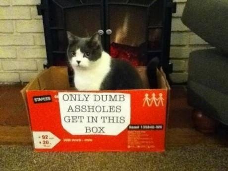 Should have learned how to read!
