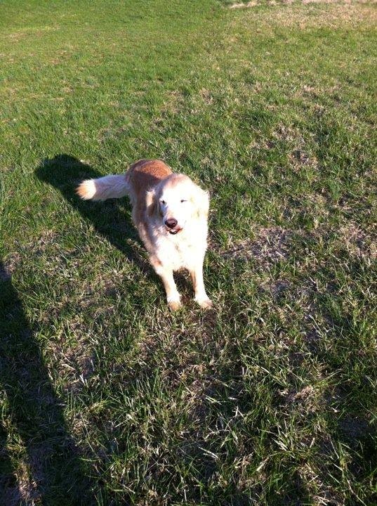 Walking with Alanda