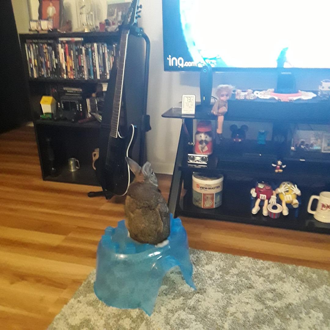 My little buddy sure does like to watch TV...