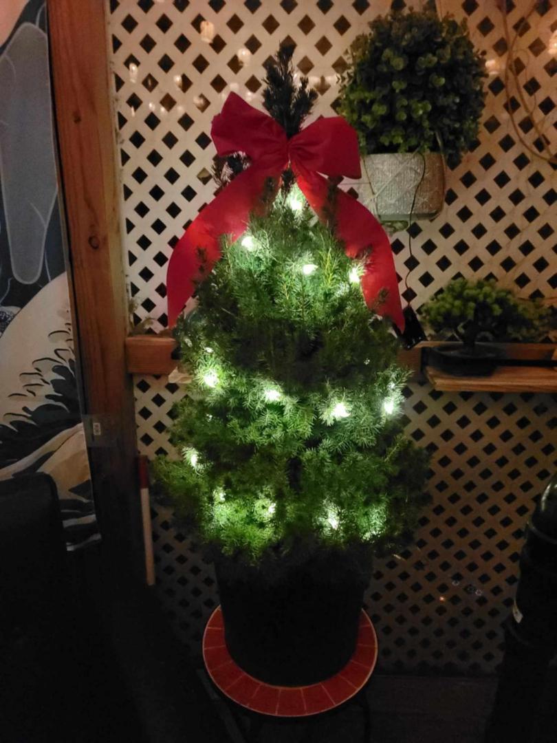 Lisa Murphy's album, Timeline photos