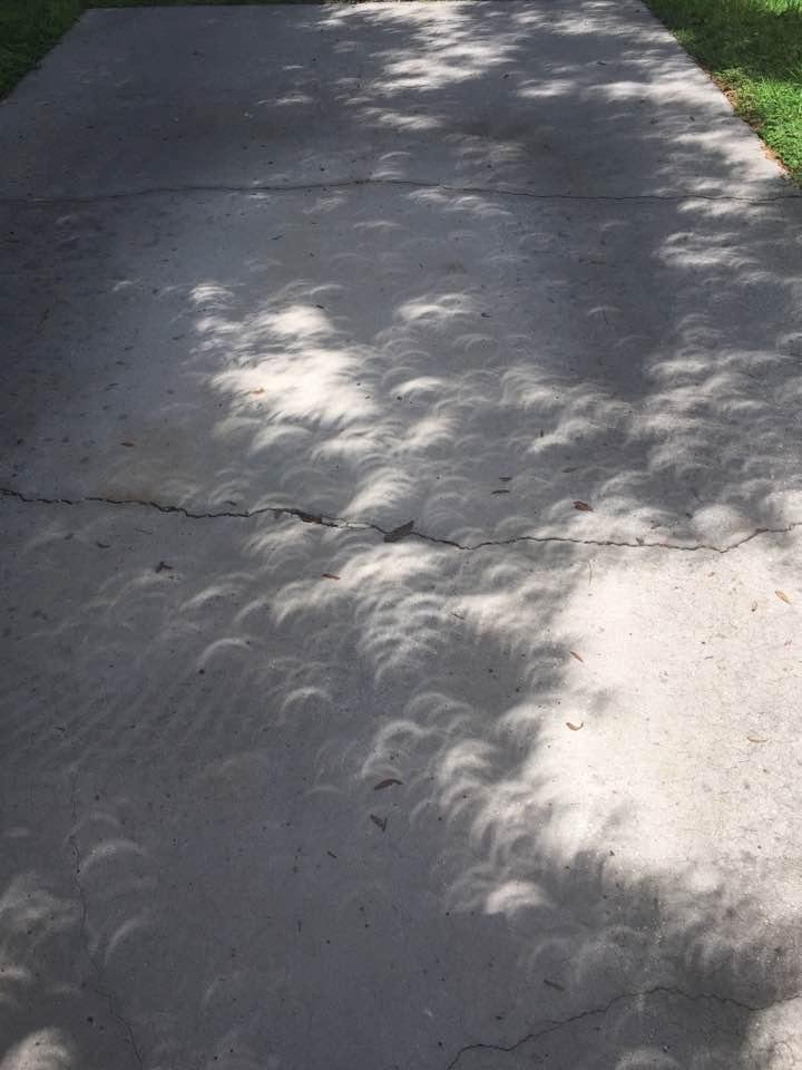 Cool pic. This was our driveway. There is an oak tree above. The sun was above the tree and the spaces between the leaves created hundreds of pinhole camera like lenses and cast these images of the eclipse. Enjoyed this as