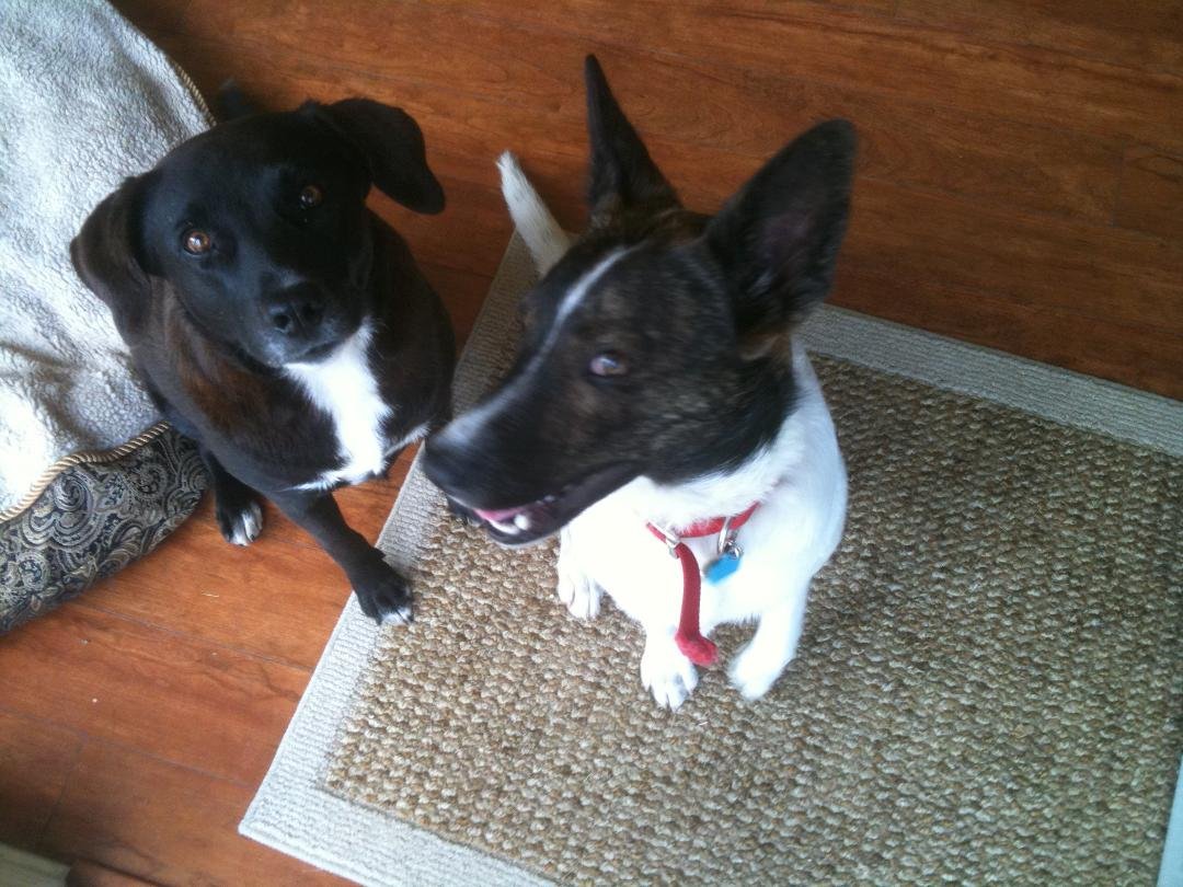Sabachka and Ali, Memorial Day Weekend 2011.