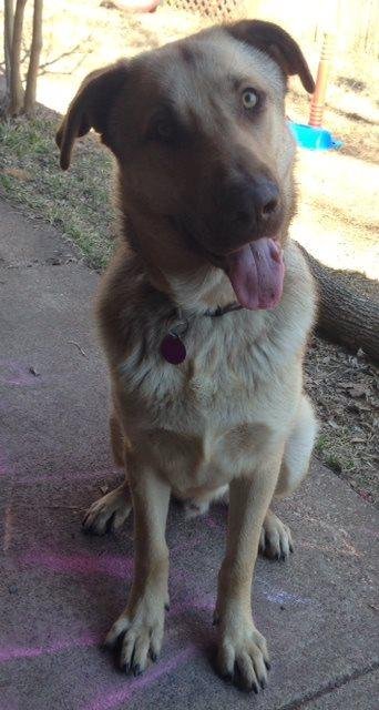 Jeb Schary's album, Timeline Photos