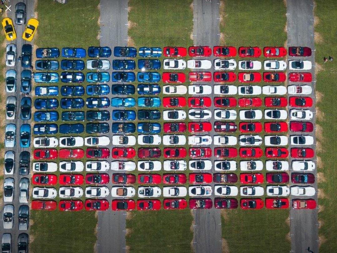 Happy Flag Day! 🇺🇸