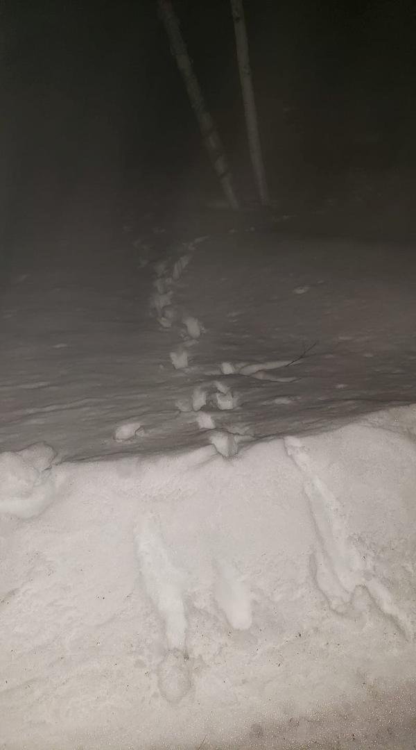Who made these tracks?