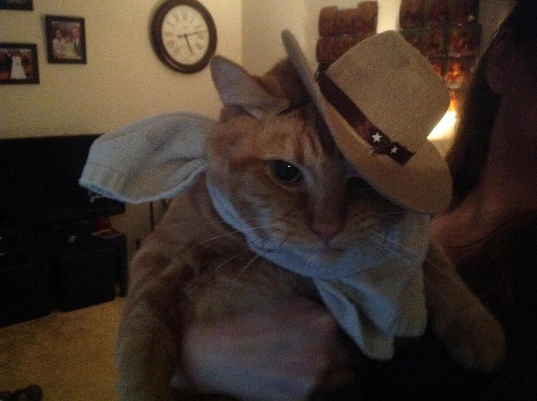 Brooklyn is ready in his finest western wear