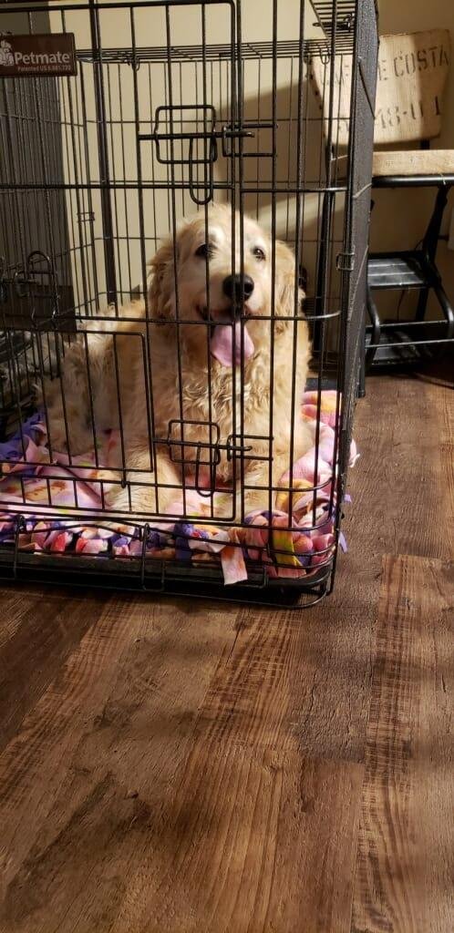 Do you know me?
Found Greenwood and Dam Rd.