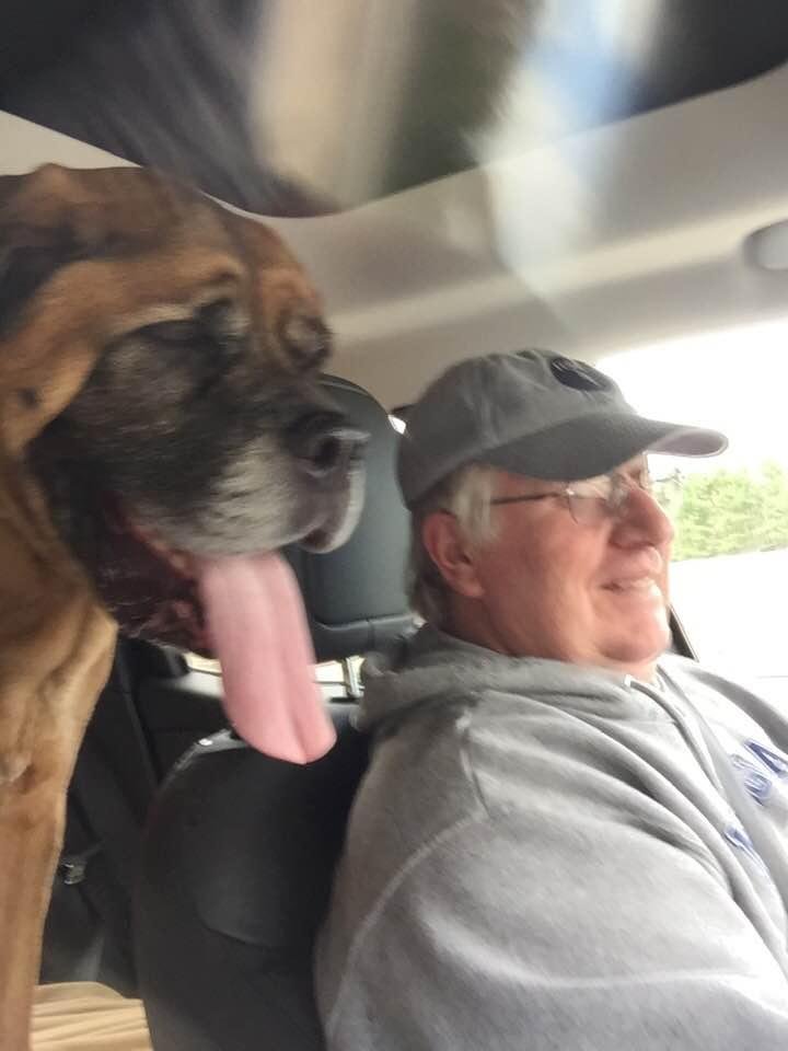 We took Jenny to the vets yesterday. She doesn’t usually get the prime seat she had,which gives her opportunity to kiss the people in the front seat - a nice sloppy kiss. We were taking her to get her weighed and get some m
