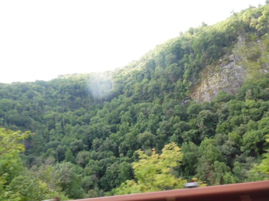 William D Modlin Jr's album, Samsung Smart Camera
