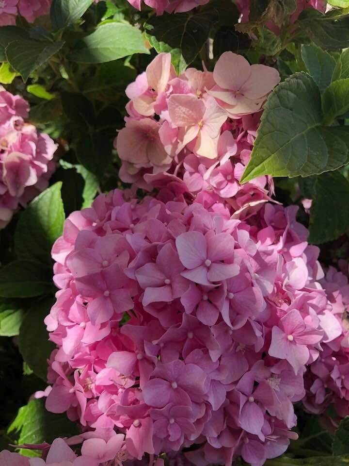 Patty Pennel's album, Timeline Photos