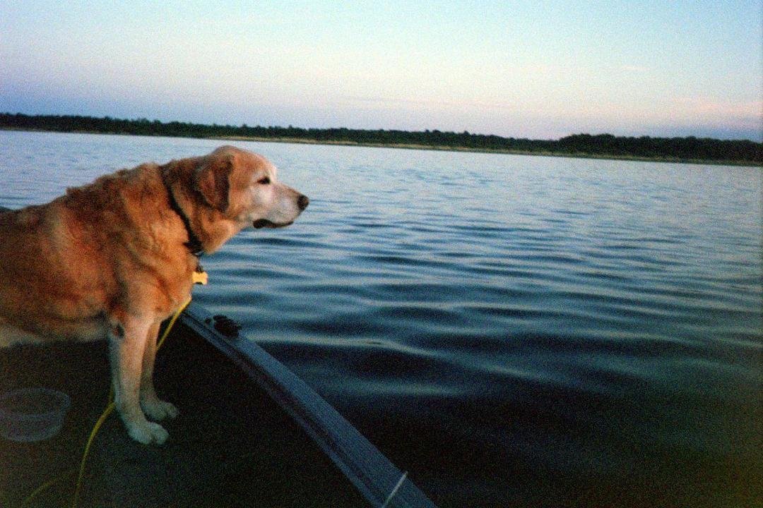 My best buddy, Reno. We're both gettin' old...............