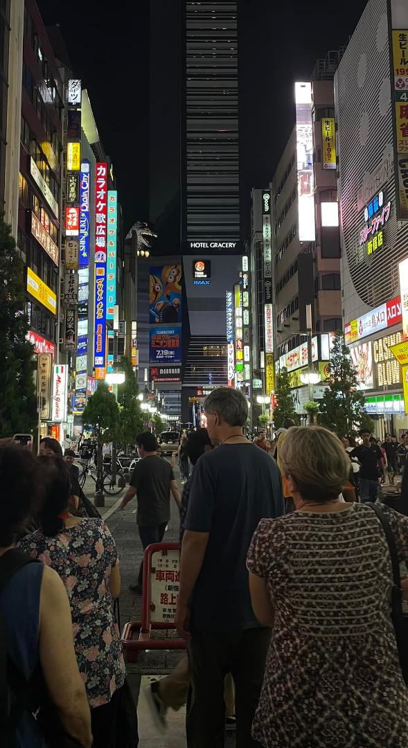 Our evening sortie into the Shinjuku ‘hood in Tokyo. It’s sort of like Times Square: way out there and a bit edgy. You can spot Godzilla atop the building on the left.
In 8 days in Japan, we have heard cars honking only 2
