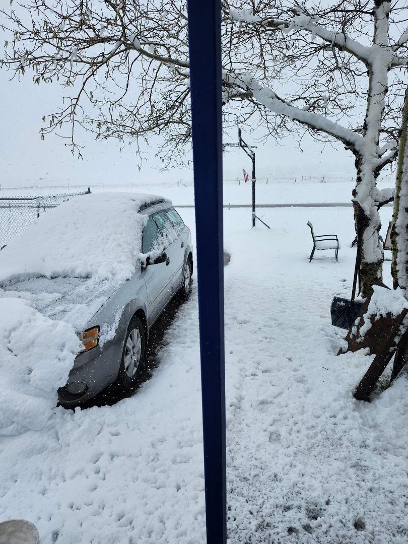 Springtime in Montana. Yesterday morning.