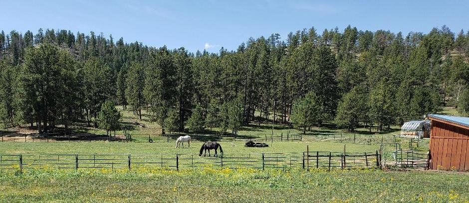 Getting more snow tonight. I'm dreaming of the green grass that's coming.