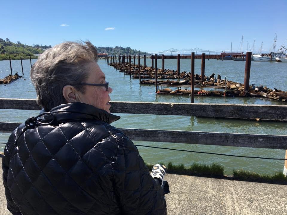 Lisa Atwood's album, Mobile Uploads