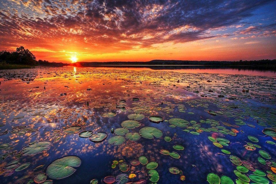 Daryl Williamson's album, Timeline Photos