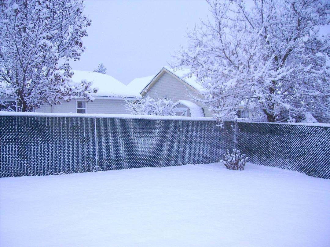 Merry Christmas - This is my back yard view on this Christmas Eve and it is still lightly snowing.