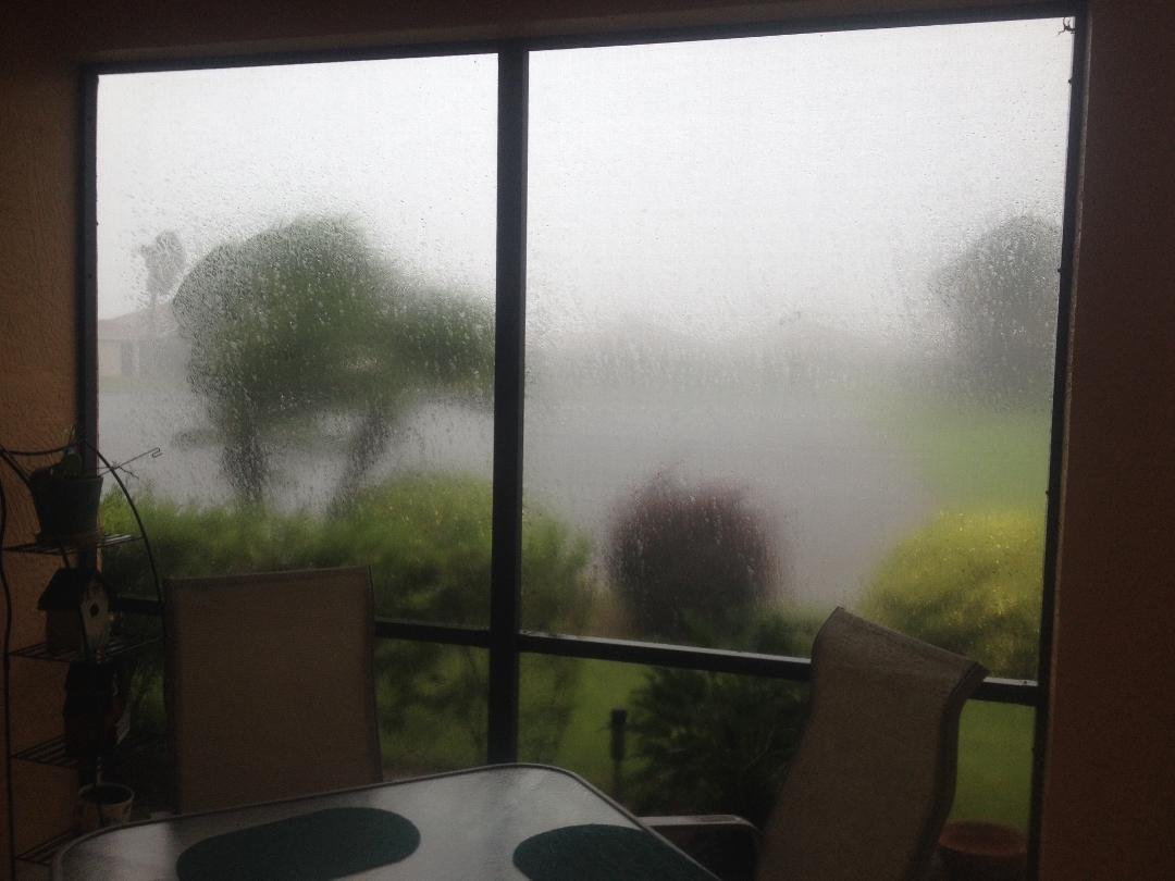 Quite a storm ripped through here last evening. The pond behind our house was rolling -- sunny and beautiful this morning