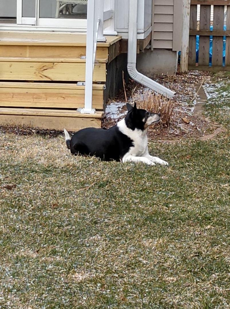 I don't care how cold the ground is, it's a Squirrel!