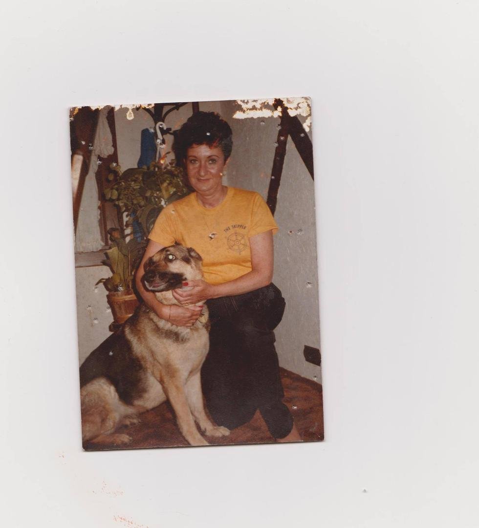 just found this photo of Gem, our wonderful shepherd