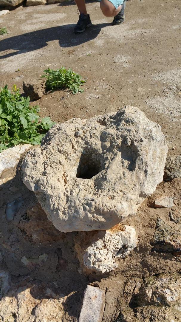 Olive Press (Royal)