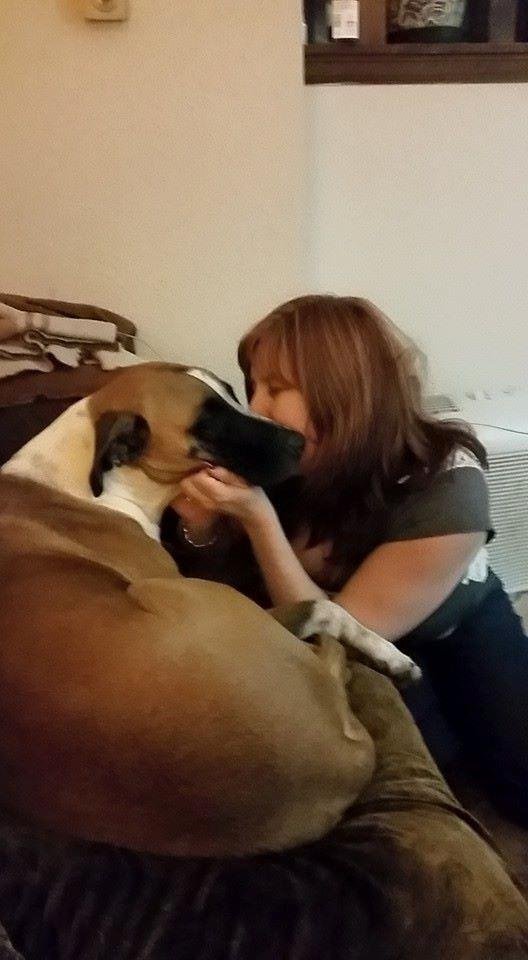 Marv is the puppy, well 19 months old. He is such a baby.