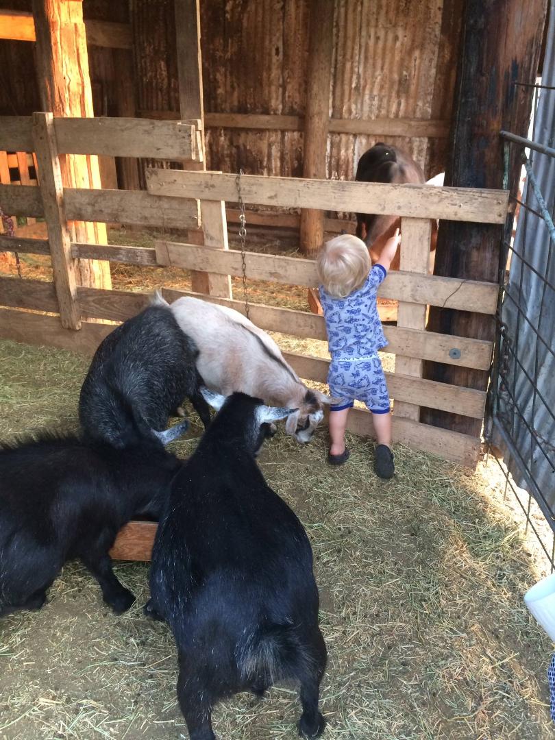 Helping grandpa feed