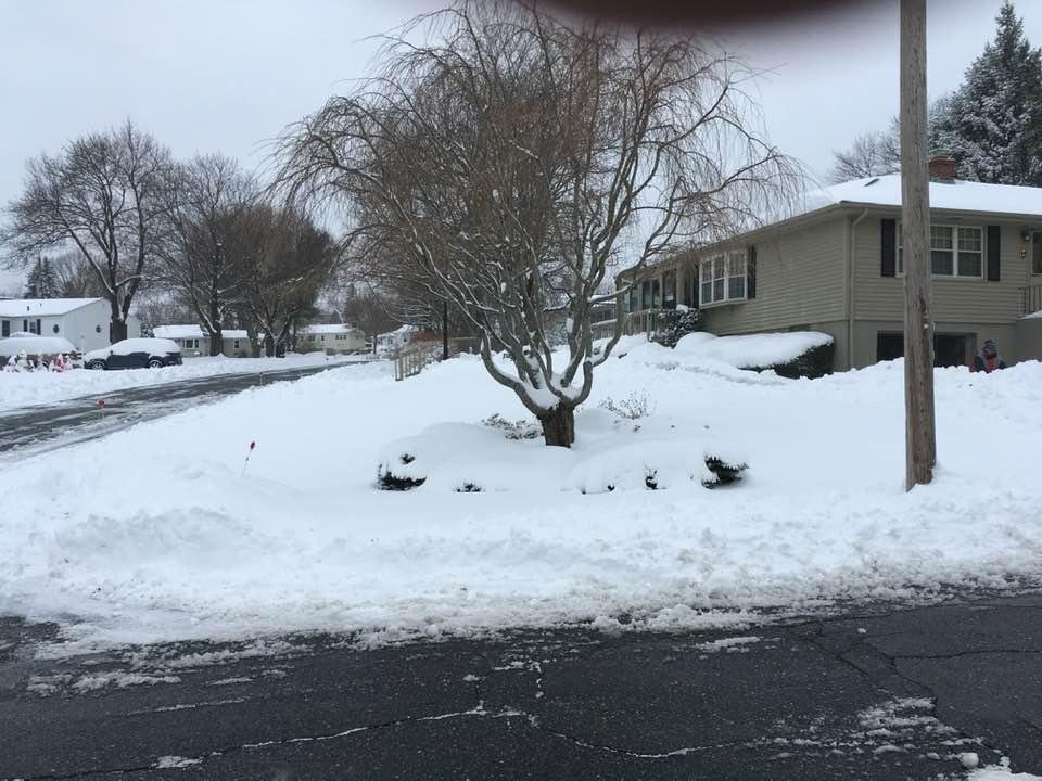 Wayne Correia's album, Timeline Photos