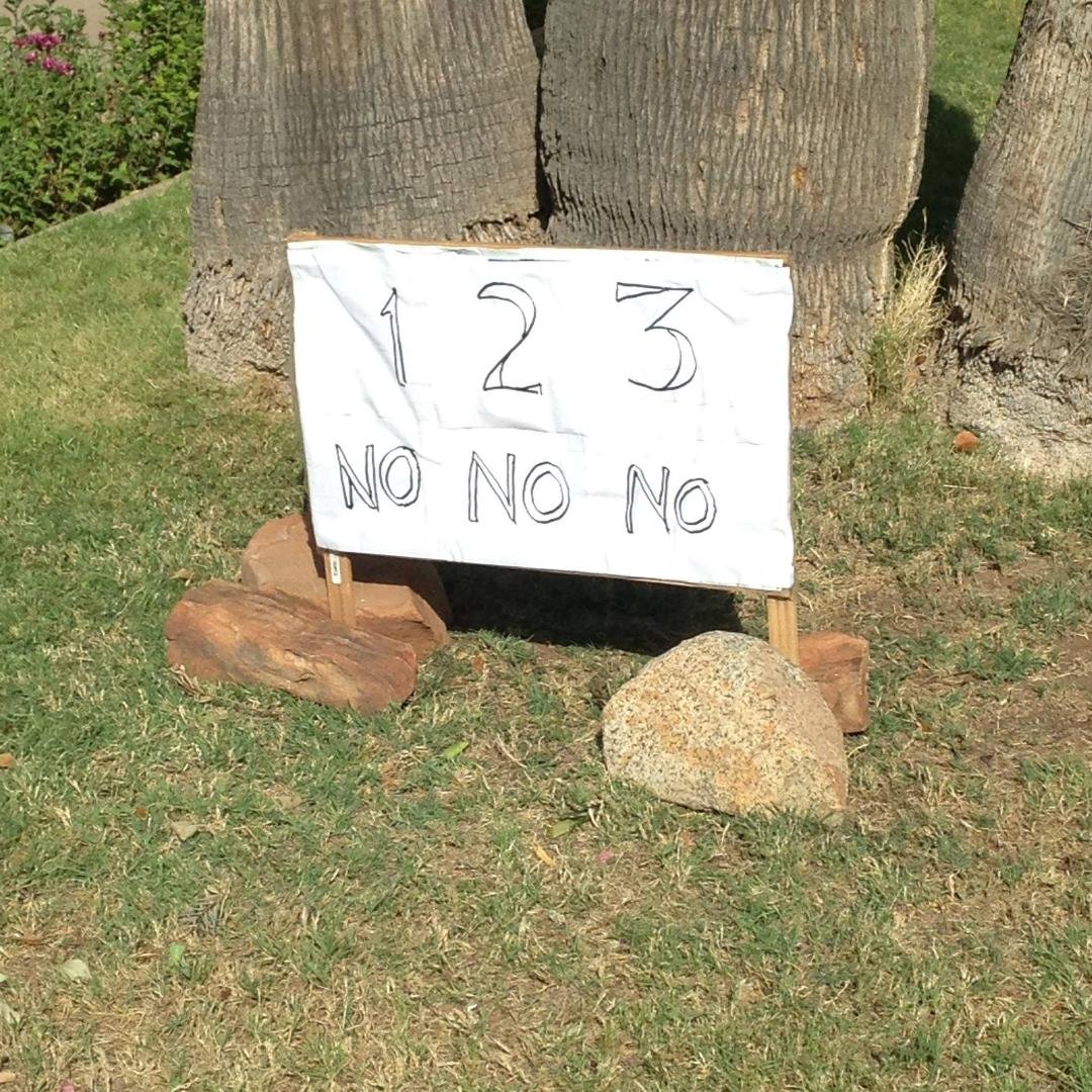 Who planted this in my yard? Just kidding, my husband and I did!