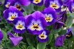 Steve Saunders' album, Timeline photos