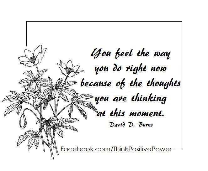 Sarah Casey's album, Timeline Photos