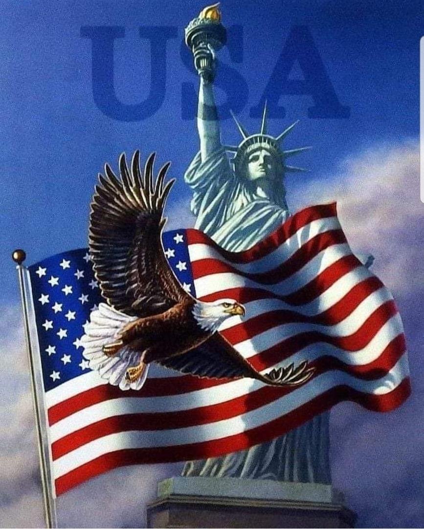 Liberty, Freedom, Strength!!!!
The symbols of this democracy,  Our United States Of America!!!!!
Happy Birthday America!
