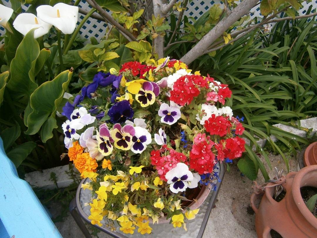 Serena Pritt's album, Timeline Photos