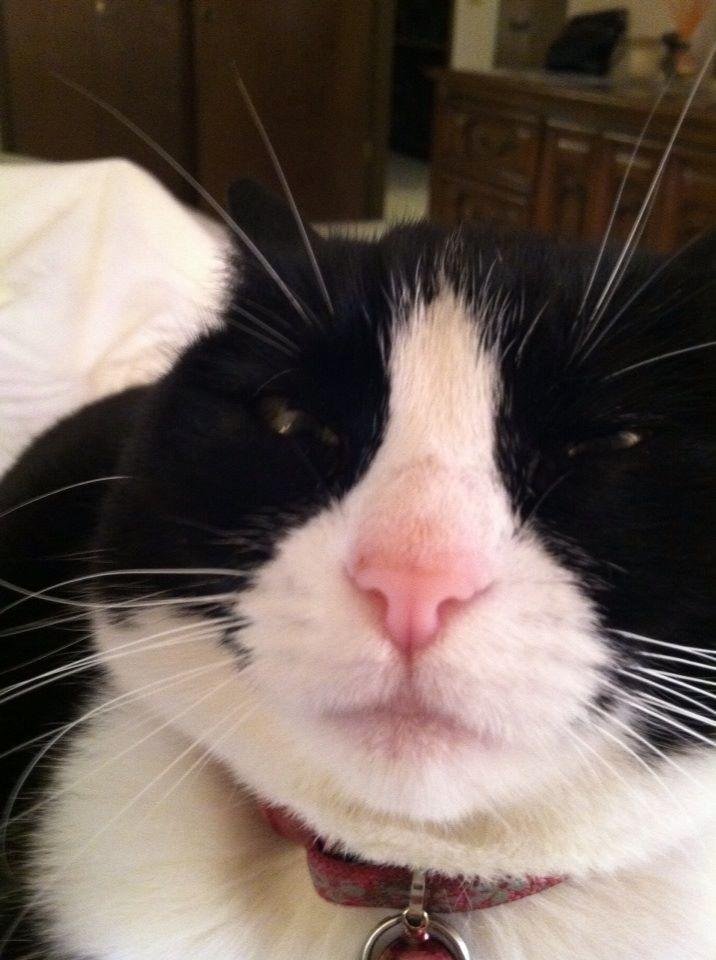 So you
Feel
Like someone is always in you face, huh? :)