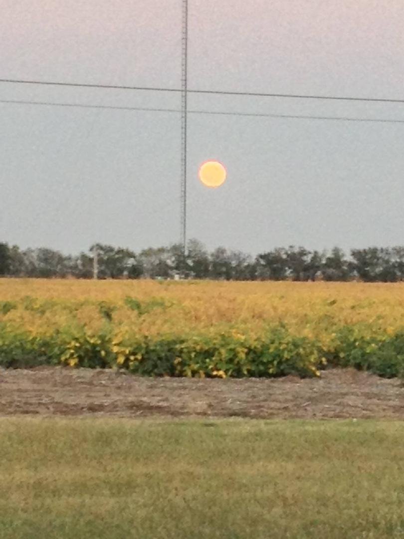 The moon is such a beautiful orange color just wish this camara could show it as it really is