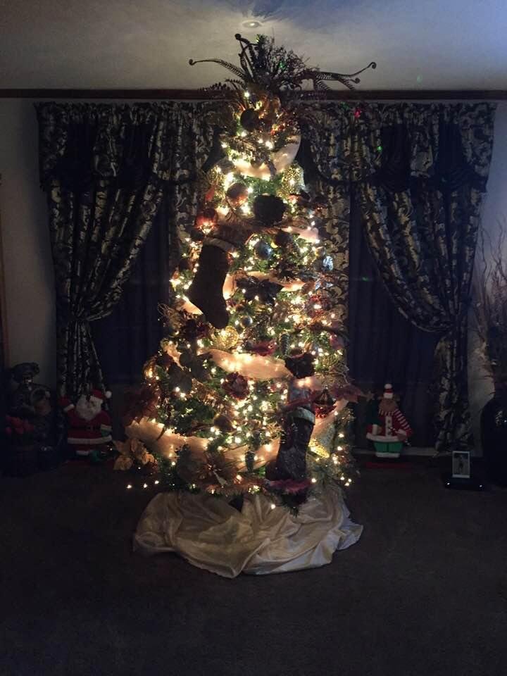 Robin put our tree up