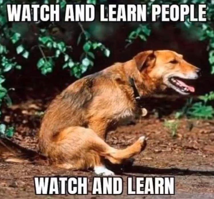 ………………………...PRO TIP