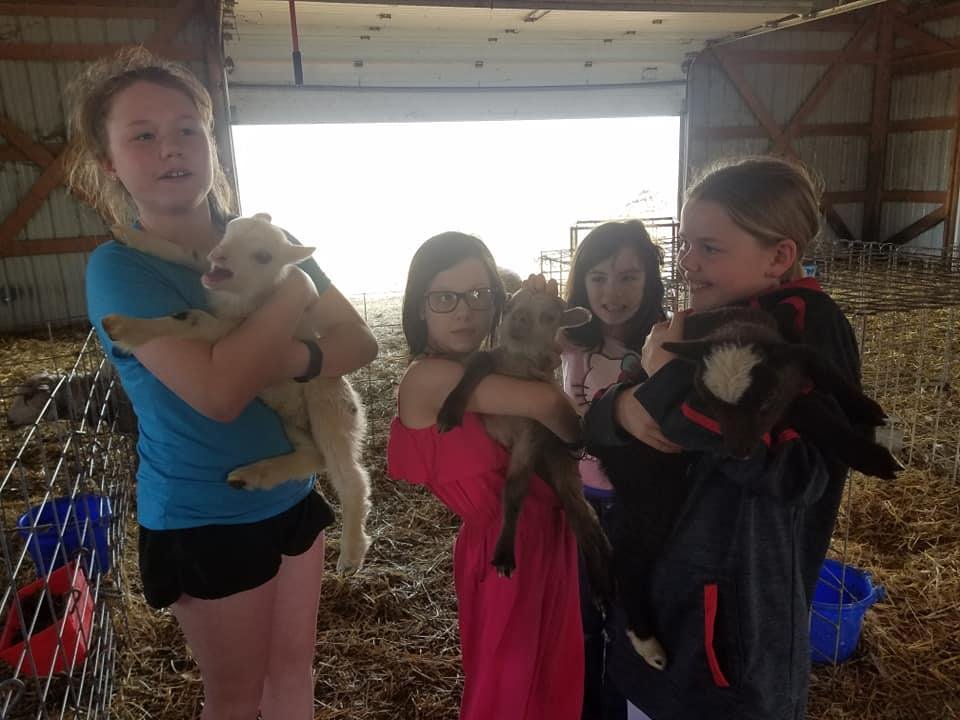 Marlene Giese's album, Mobile uploads