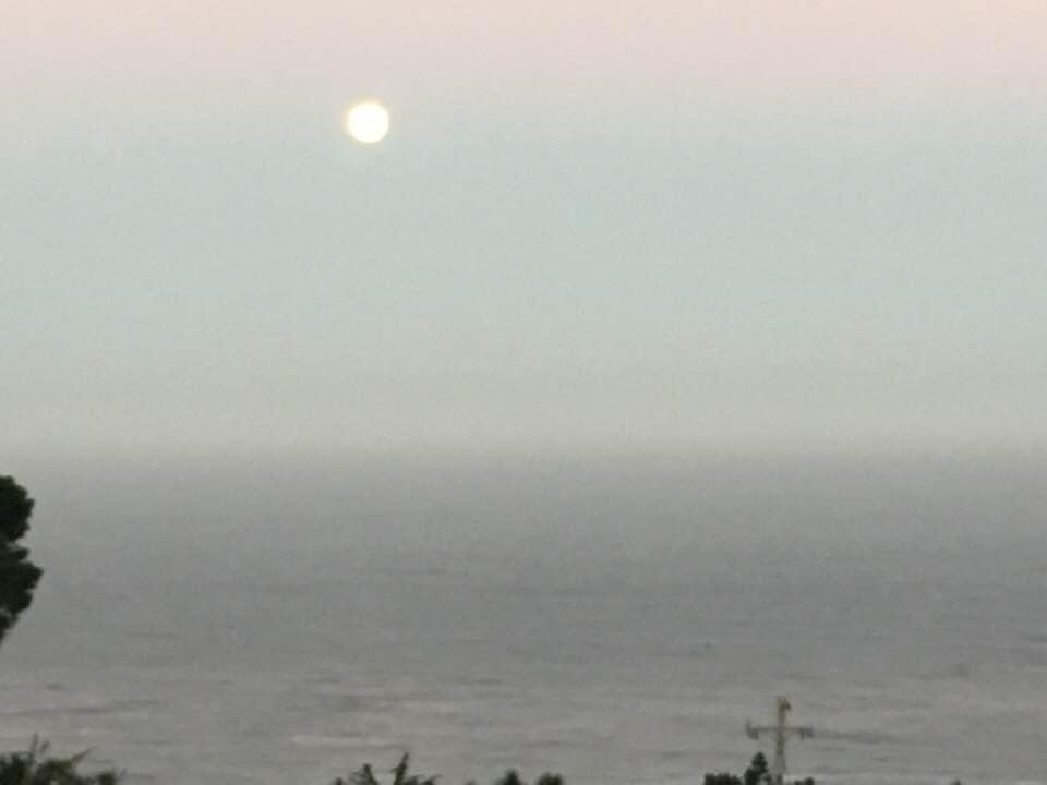 Mooned!