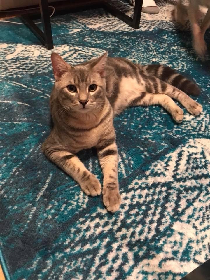 Smith liking the new carpet.