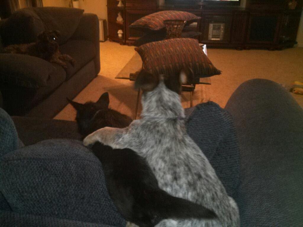 Chloe and Maggie settling down for the night