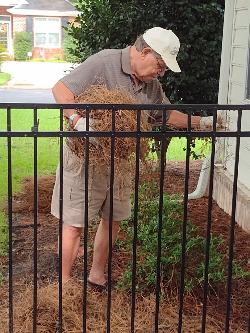 I am posting the picture below for 2 reasons.
1. Everyone around here has cancelled this and that in anticipation of a deluge caused by Debby. Here I am spreading pine straw because it just hasn't rained all that much.