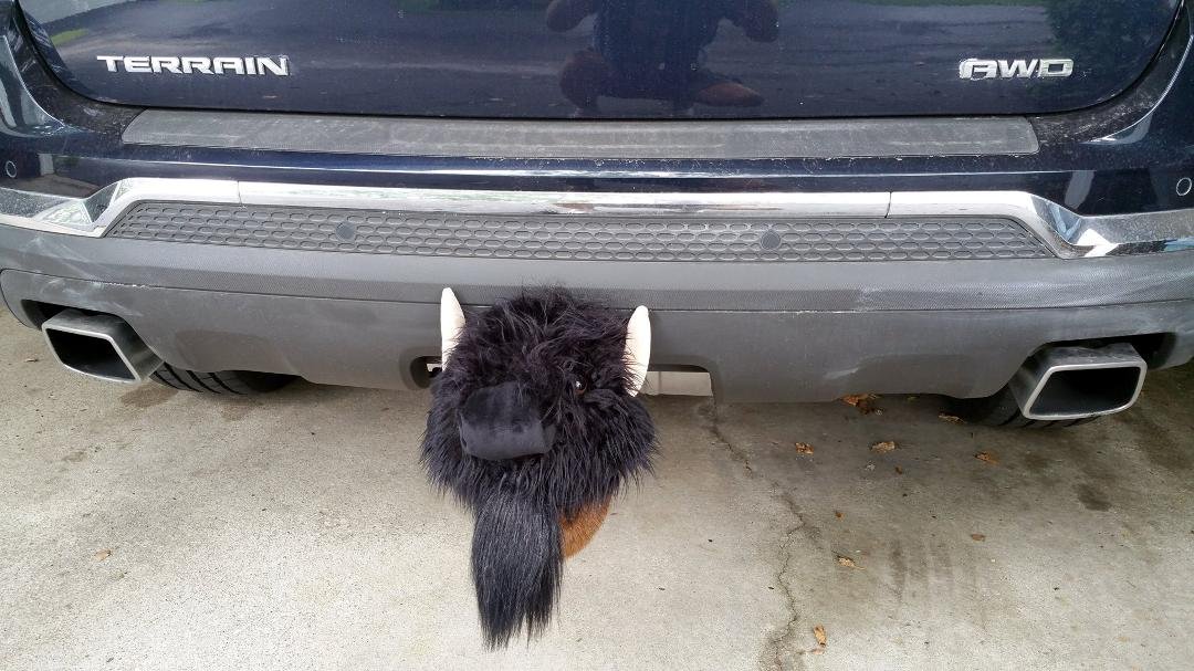 First-of-its-kind Billy Buffalo trailer hitch cover, converted from a Daphne's golf club head cover I bought on eBay. He makes drivers behind me smile, point and laugh.