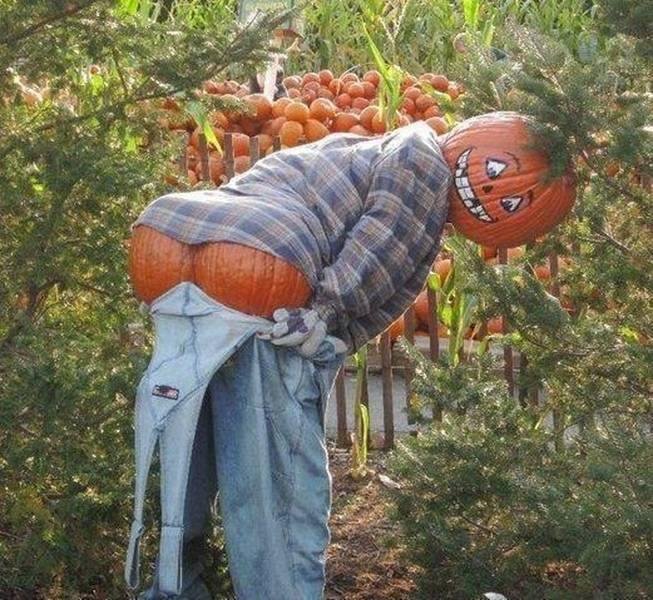 Happy Halloween ---