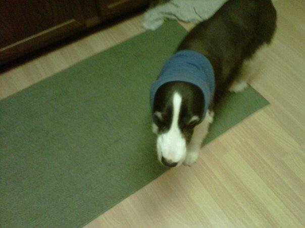 Thanks for breakfast mom but will u take this thing off my head