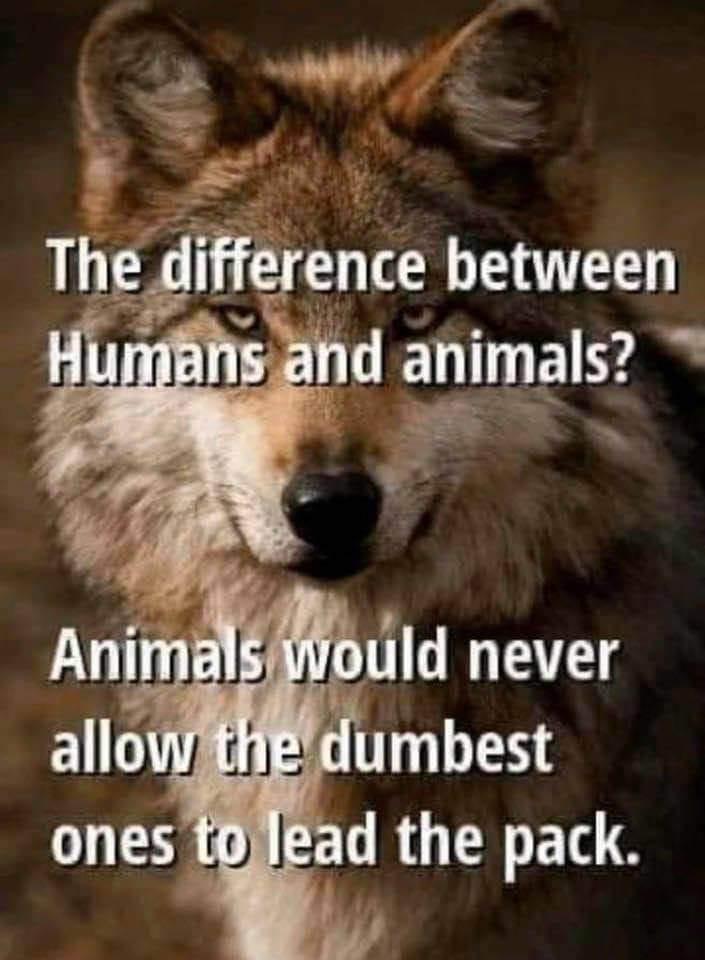 Asking everyone to pray for our pack, country, and world.