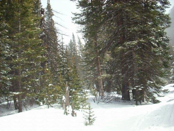 Kelley Brenneman's album, Hiking