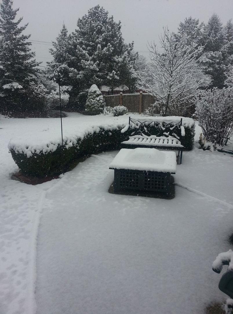 Renee Piekal's album, Timeline Photos